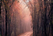 金球奖最新赔率：姆巴佩升至第一，萨拉赫第三，凯恩第七.