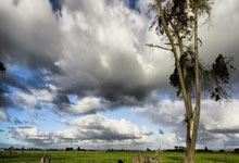 开云：本赛季俱乐部+国家队进27球，伊萨克追平个人单赛季最佳纪录.