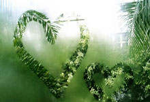 [德甲]拜仁慕尼黑客场战胜美因茨.