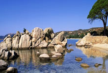 开云：特狮：我能从诺伊尔身上学到很多；2018世界杯对我来说不公平.